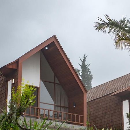 Catu Glamping Bedugul Villa Selemadeg Dış mekan fotoğraf